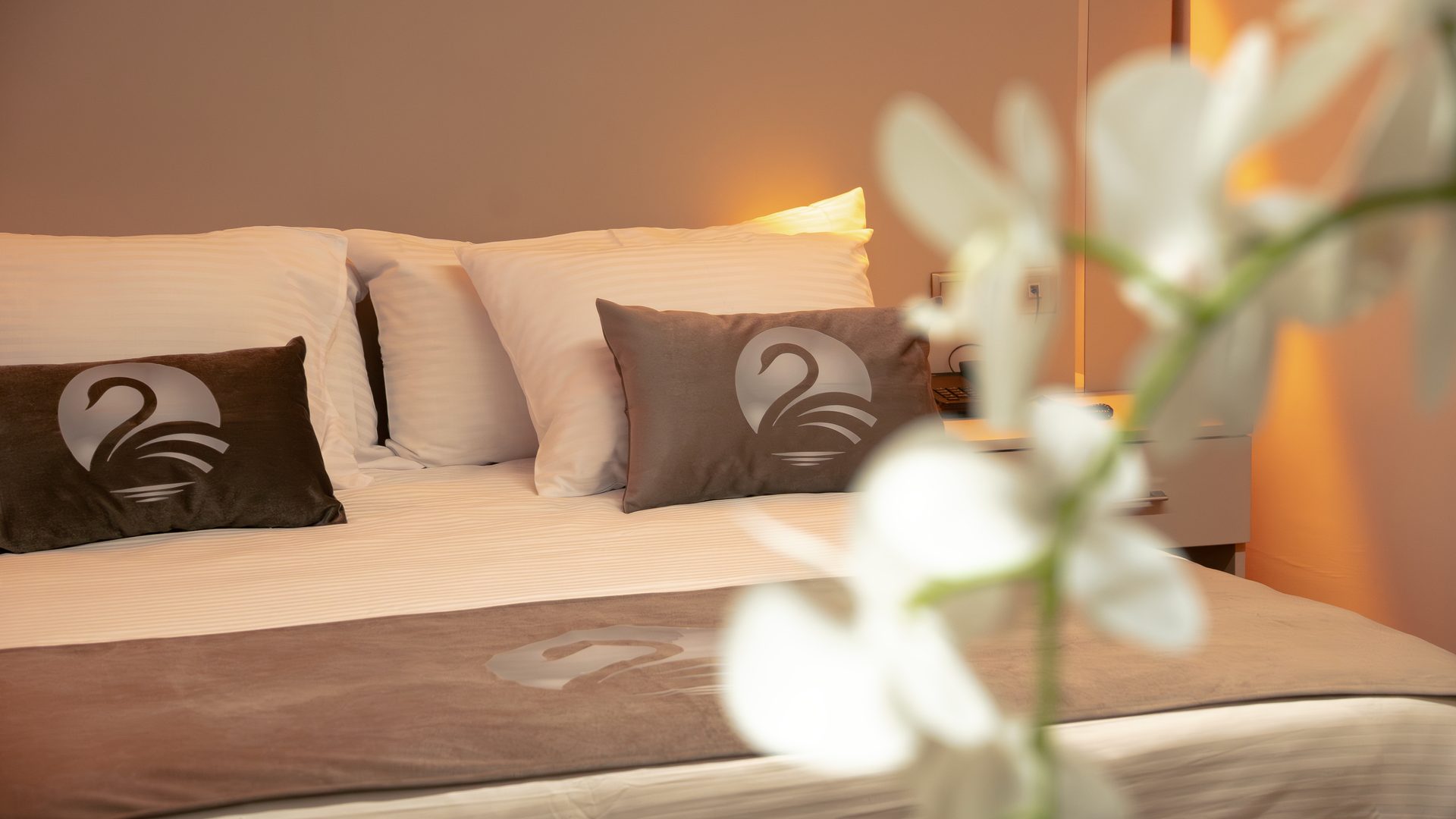 Swan Hotel Kayseri Standart Oda - fotoğraf 6